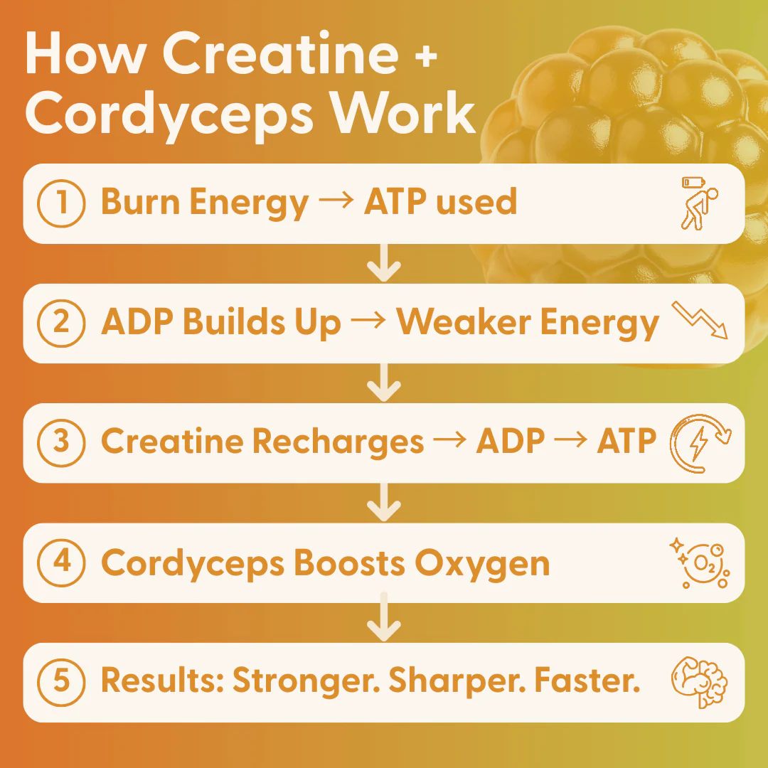 Daily Creatine Gummies 60 Count - Image 7