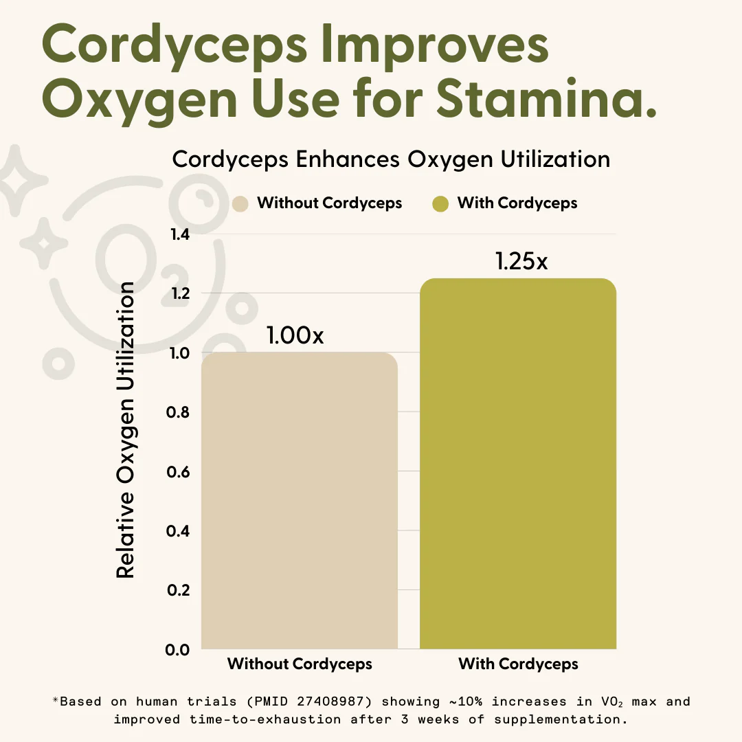Daily Energy Gummies 60 Count - Image 5