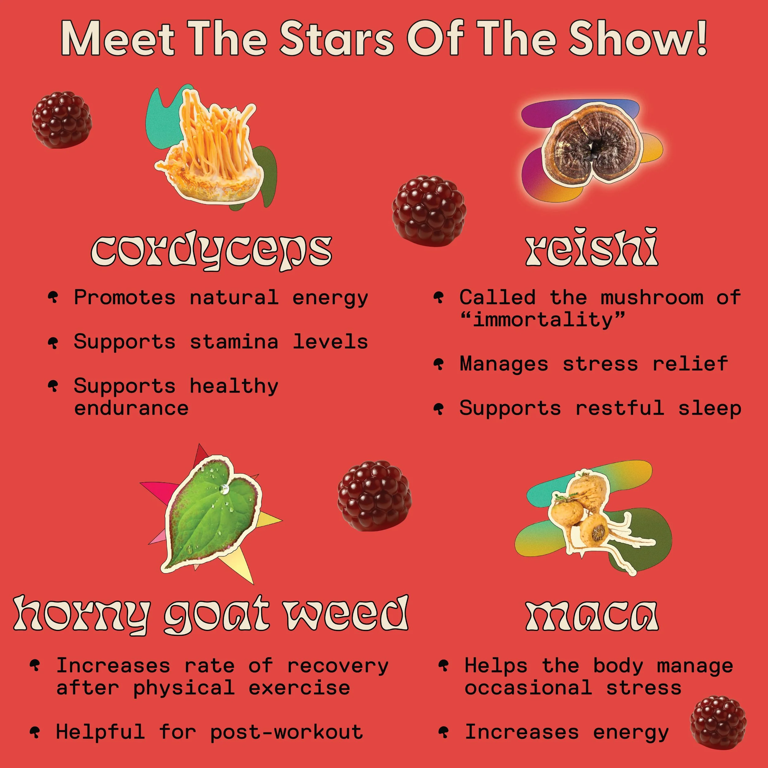 Daily Passion Gummies ♥ 60 Count - Image 6